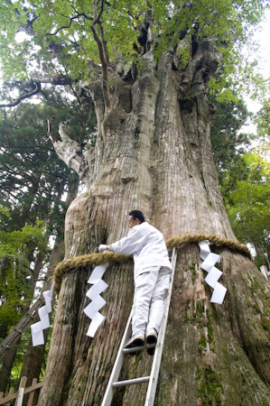f:id:Arufa:20121111050403j:image