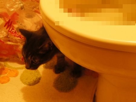 f:id:Arufa:20131017010634j:image