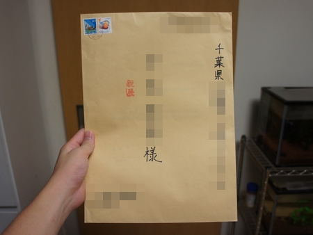 f:id:Arufa:20131017011143j:image