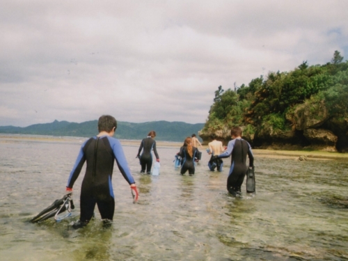 f:id:Arufa:20140310013927j:image