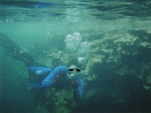 f:id:Arufa:20140310013932j:image