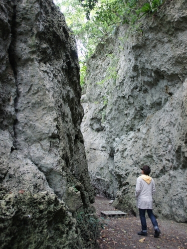 f:id:Arufa:20140312003259j:image