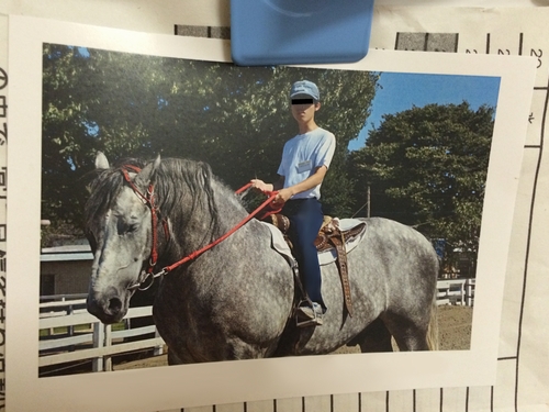 f:id:Arufa:20140901013914j:image