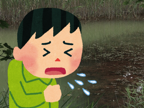 f:id:Arufa:20141117002925j:image