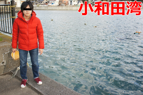 f:id:Arufa:20160104182840j:plain f:id:Arufa:20160104182840j:plain