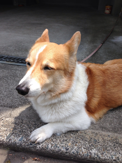 f:id:AsahiMaxtra:20130527133413j:plain f:id:AsahiMaxtra:20130527133413j:plain