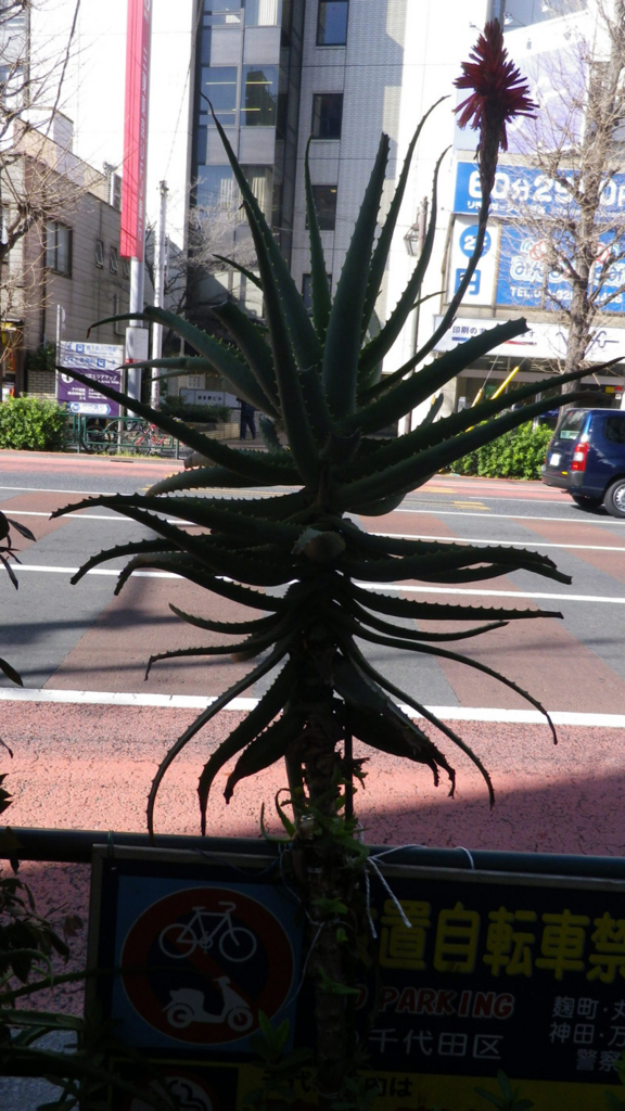 f:id:AtreShibutani:20160216103843j:plain f:id:AtreShibutani:20160216103843j:plain