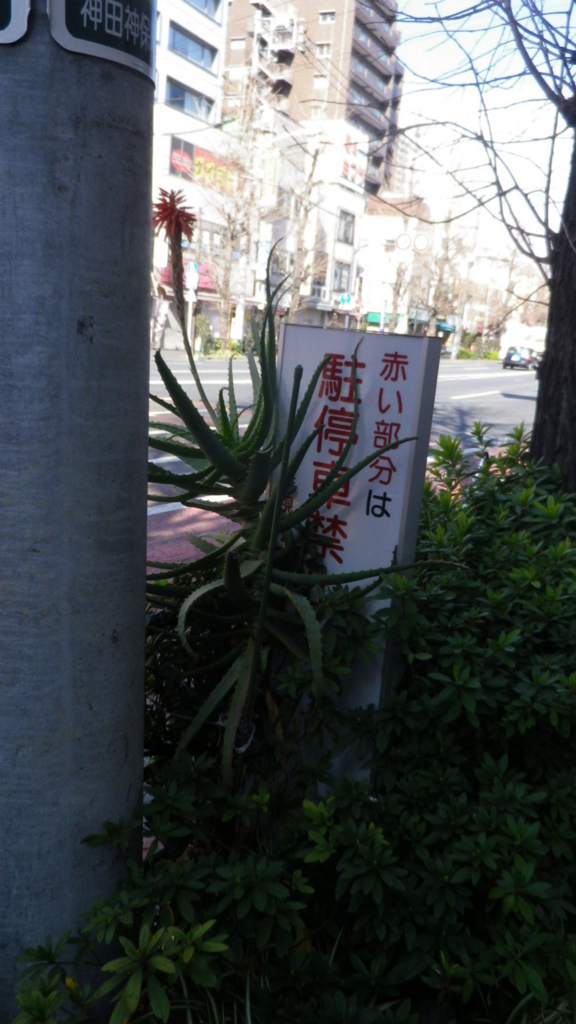 f:id:AtreShibutani:20160216103907j:plain f:id:AtreShibutani:20160216103907j:plain