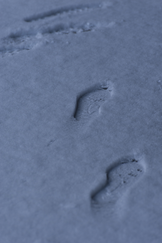 f:id:Aya_mikan:20121224080928j:image,w240