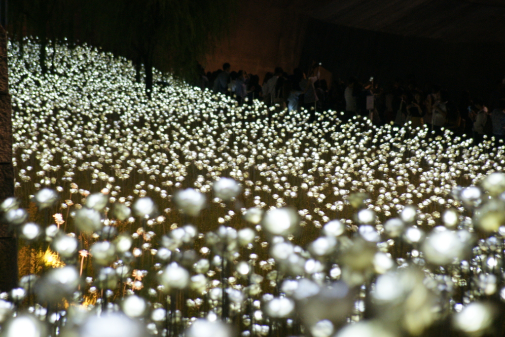 f:id:AyumiKSHFMapJP:20160328145227j:plain f:id:AyumiKSHFMapJP:20160328145227j:plain