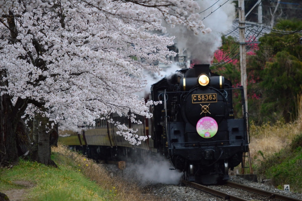 f:id:Az_shijimi:20151228212711j:plain f:id:Az_shijimi:20151228212711j:plain