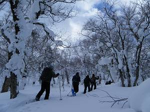 f:id:B-NAG2010:20110210151353j:image f:id:B-NAG2010:20110210151353j:image