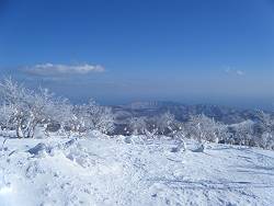 f:id:B-NAG2010:20110210154205j:image f:id:B-NAG2010:20110210154205j:image