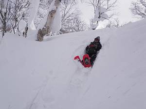 f:id:B-NAG2010:20110210154521j:image f:id:B-NAG2010:20110210154521j:image
