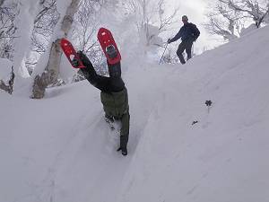 f:id:B-NAG2010:20110210154551j:image f:id:B-NAG2010:20110210154551j:image