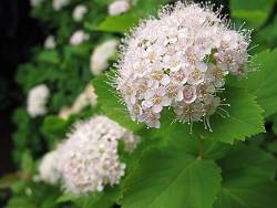 f:id:B-NAG2010:20110712183455j:image f:id:B-NAG2010:20110712183455j:image