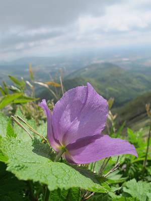 f:id:B-NAG2010:20120530205313j:image f:id:B-NAG2010:20120530205313j:image