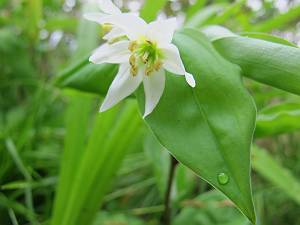 f:id:B-NAG2010:20120530205512j:image f:id:B-NAG2010:20120530205512j:image