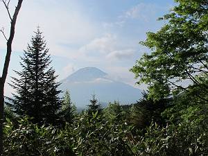 f:id:B-NAG2010:20120530205946j:image f:id:B-NAG2010:20120530205946j:image