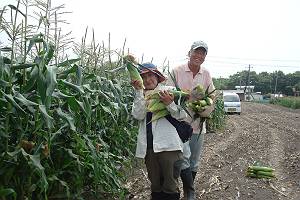 f:id:B-NAG2010:20130807173947j:plain f:id:B-NAG2010:20130807173947j:plain