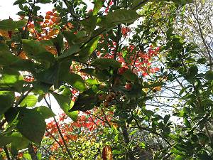 f:id:B-NAG2010:20131013175756j:plain f:id:B-NAG2010:20131013175756j:plain