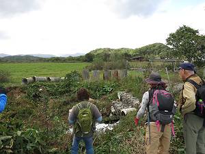 f:id:B-NAG2010:20131013175841j:plain f:id:B-NAG2010:20131013175841j:plain