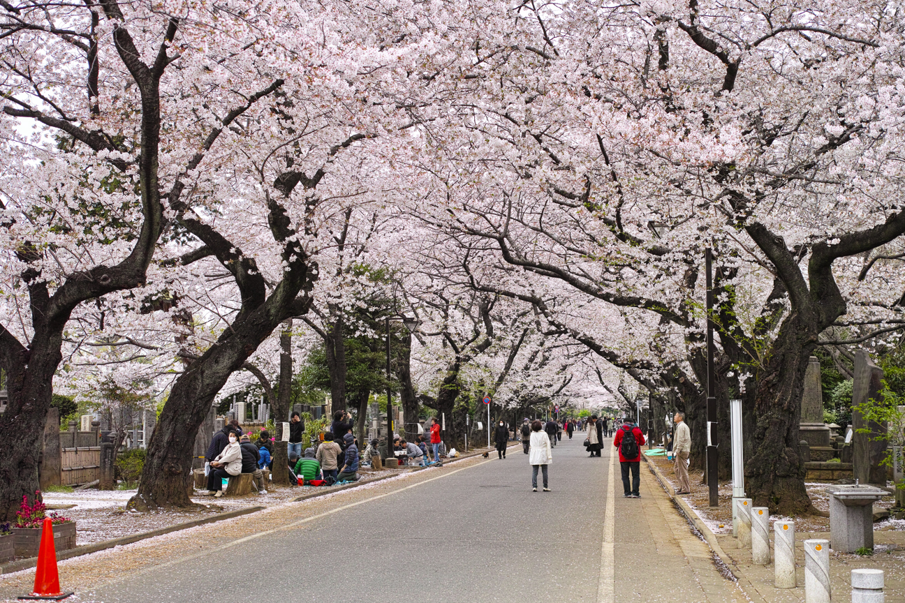 f:id:B-Star:20130408005125j:plain f:id:B-Star:20130408005125j:plain