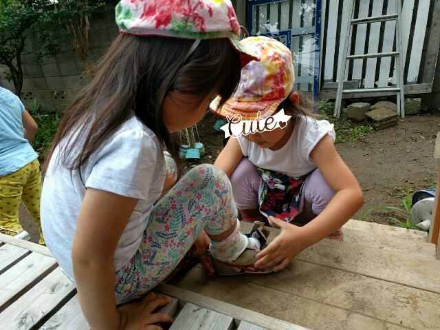f:id:BINGO_K:20160629202148j:image f:id:BINGO_K:20160629202148j:image