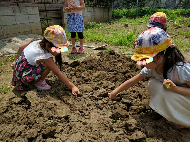 f:id:BINGO_K:20160714194404j:image f:id:BINGO_K:20160714194404j:image