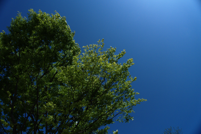 f:id:BNorider:20130517130724j:plain f:id:BNorider:20130517130724j:plain