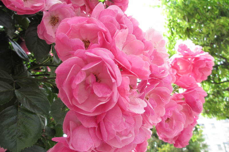 f:id:BNorider:20130613091553j:plain f:id:BNorider:20130613091553j:plain