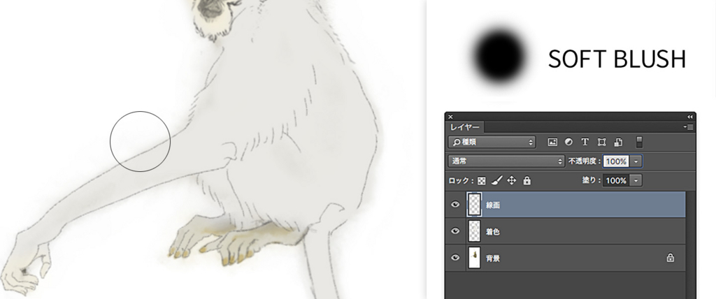 f:id:BOEL:20160310193339j:plain f:id:BOEL:20160310193339j:plain