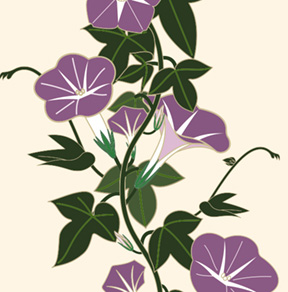 f:id:BOEL:20160524130818j:plain f:id:BOEL:20160524130818j:plain