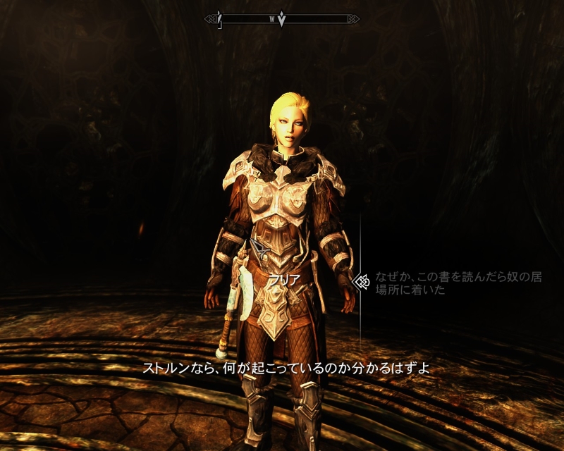 f:id:Balin_SKYRIM:20150228231643j:plain f:id:Balin_SKYRIM:20150228231643j:plain