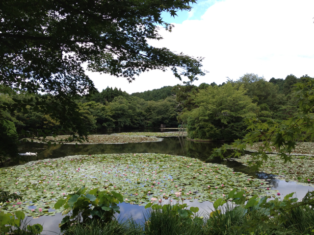 f:id:Beand:20130803214800j:plain f:id:Beand:20130803214800j:plain