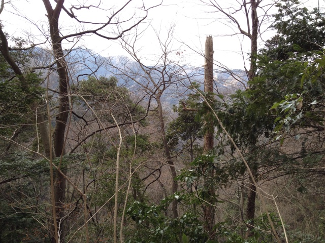 f:id:Beand:20140319205621j:plain f:id:Beand:20140319205621j:plain