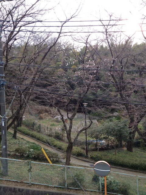 f:id:Beand:20140326222754j:plain f:id:Beand:20140326222754j:plain