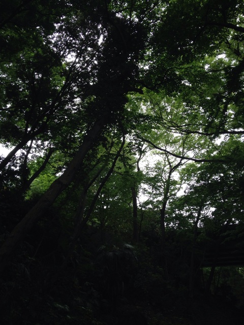 f:id:Beand:20140507233212j:plain f:id:Beand:20140507233212j:plain