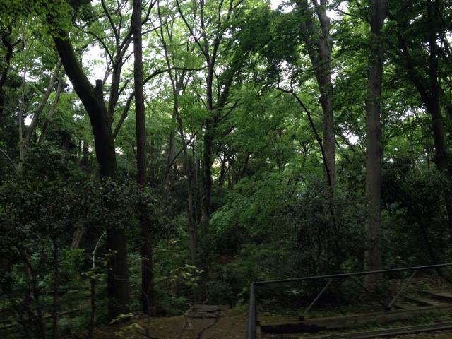 f:id:Beand:20140507233229j:plain f:id:Beand:20140507233229j:plain