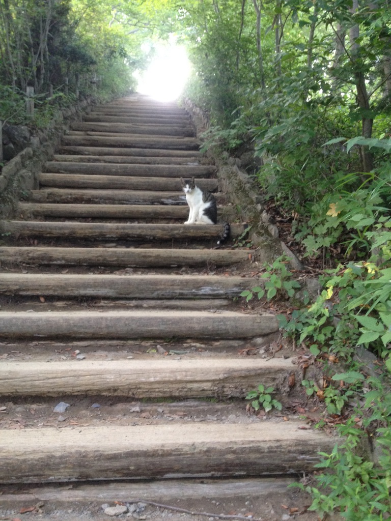 f:id:Beand:20150814212407j:image f:id:Beand:20150814212407j:image
