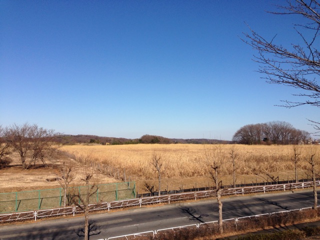 f:id:BlackJoker:20150109131004j:plain f:id:BlackJoker:20150109131004j:plain