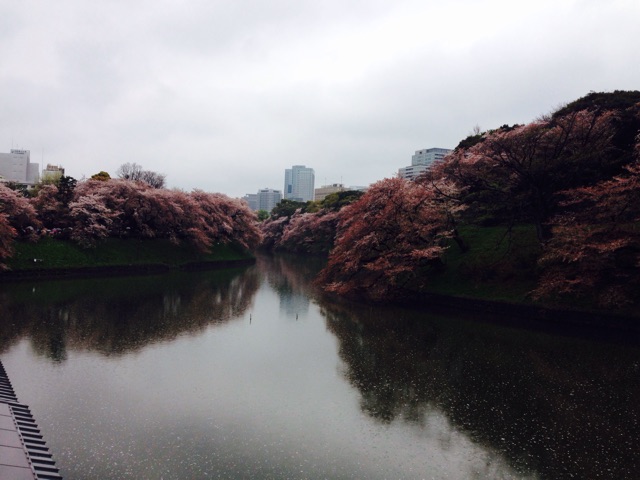 f:id:BlackJoker:20150405181221j:plain f:id:BlackJoker:20150405181221j:plain