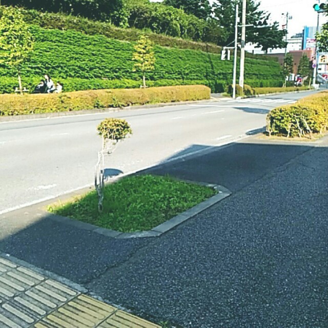 f:id:BlackJoker:20151006230723j:image f:id:BlackJoker:20151006230723j:image