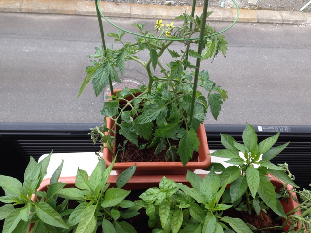 f:id:Brunnenstein:20140517004704j:plain f:id:Brunnenstein:20140517004704j:plain