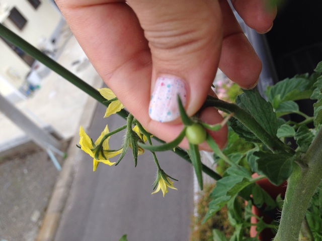 f:id:Brunnenstein:20140517004738j:plain f:id:Brunnenstein:20140517004738j:plain