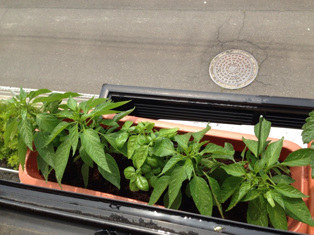 f:id:Brunnenstein:20140520153657j:plain f:id:Brunnenstein:20140520153657j:plain
