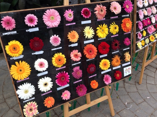 f:id:Brunnenstein:20140527000816j:plain f:id:Brunnenstein:20140527000816j:plain