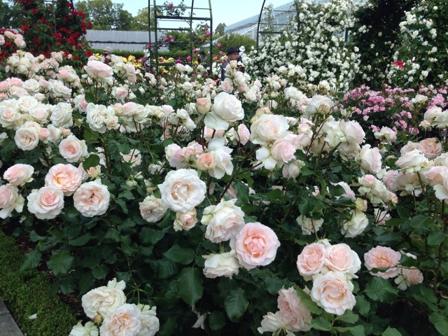 f:id:Brunnenstein:20140527000847j:plain f:id:Brunnenstein:20140527000847j:plain