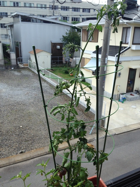 f:id:Brunnenstein:20140619113918j:plain f:id:Brunnenstein:20140619113918j:plain