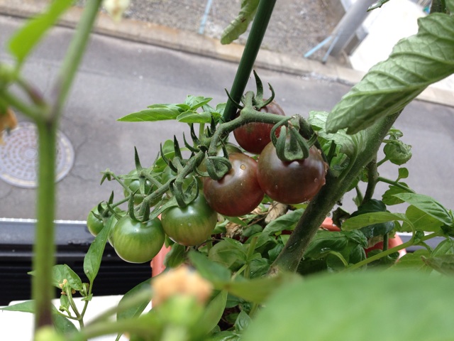 f:id:Brunnenstein:20140619114240j:plain f:id:Brunnenstein:20140619114240j:plain